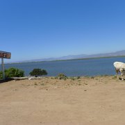 Tamales de carne.. And here is the carne! Nabízejí hovězí tamales. Čerstvé hovězí... : Baja2011